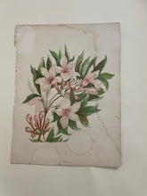 Load image into Gallery viewer, 19th Century Botanical Print - Azalea